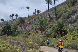Las Palmas: Botanic Garden Tour (Extension Bandama opt)