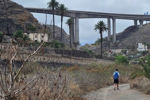 Las Palmas: Botanic Garden Tour (Extension Bandama opt)