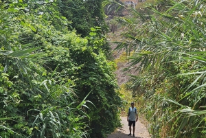 Las Palmas: Botanic Garden Tour (Extension Bandama opt)