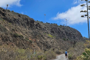 Las Palmas: Botanic Garden Tour (Extension Bandama opt)