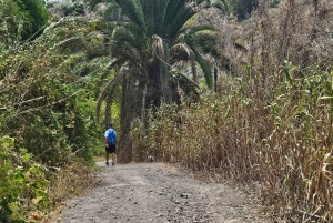 Las Palmas: Botanic Garden Tour (Extension Bandama opt)