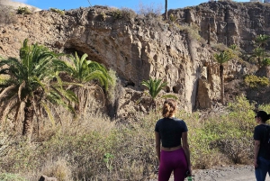 Las Palmas: Botanic Garden Tour (Extension Bandama opt)