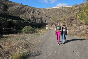 Las Palmas: Botanic Garden Tour (Extension Bandama opt)