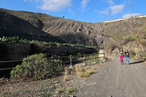 Las Palmas: Botanic Garden Tour (Extension Bandama opt)