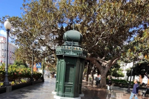 Las Palmas: Botanic Garden Tour (Extension Bandama opt)