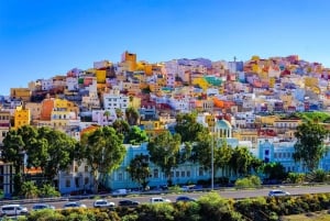 Las Palmas, Botanical Gardens and Bandama Volcano Tour