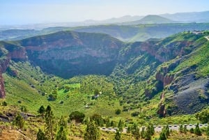 Las Palmas, Botanical Gardens and Bandama Volcano Tour