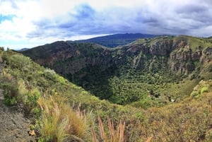 Las Palmas, Botanical Gardens and Bandama Volcano Tour