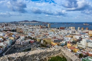 Las Palmas, Botanical Gardens and Bandama Volcano Tour