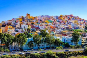 Las Palmas, Botanical Gardens and Bandama Volcano Tour