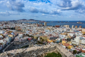 Las Palmas, Botanical Gardens and Bandama Volcano Tour