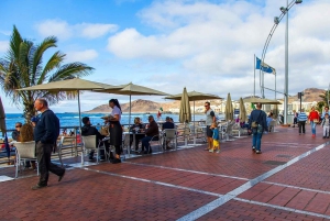 Las Palmas, Botanical Gardens and Bandama Volcano Tour