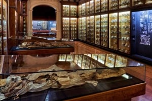 Las Palmas: City Highlights Guided Tour with Pickup