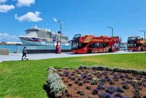 Las Palmas: Tour en autobús turístico con paradas libres