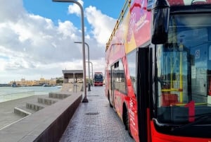 Las Palmas: Tour en autobús turístico con paradas libres