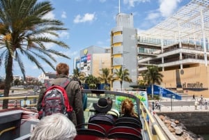 Las Palmas: Tour en autobús turístico con paradas libres