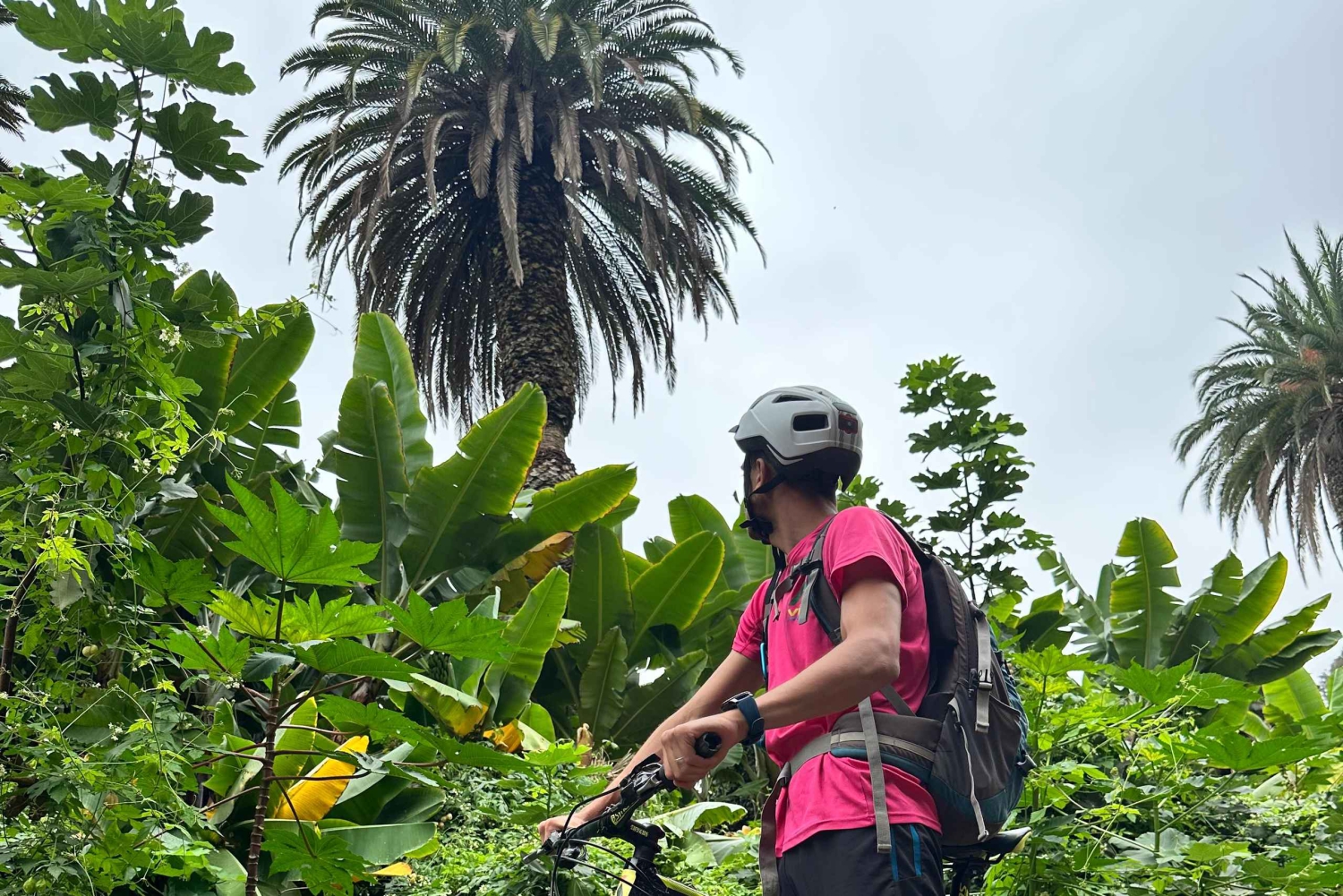 Las Palmas de Gran Canaria: Tour en bicicleta de montaña con Guía Local