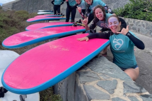 Las Palmas de Gran Canaria: Group surf lessons on La Laja beach