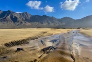 Las Palmas: Fuerteventura Cofete Beach and Desert Safari