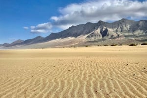 Las Palmas: Fuerteventura Cofete Beach and Desert Safari