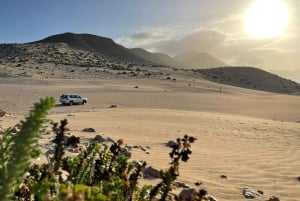 Las Palmas: Fuerteventura Cofete Beach and Desert Safari
