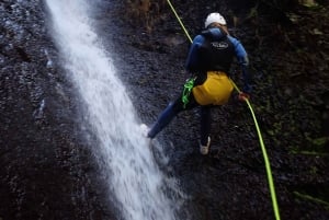 Las Palmas, Gran Canaria: Aventura de Barranquismo