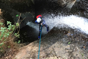 Las Palmas, Gran Canaria: Canyoning Adventure