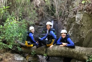 Las Palmas, Gran Canaria: Canyoning Adventure