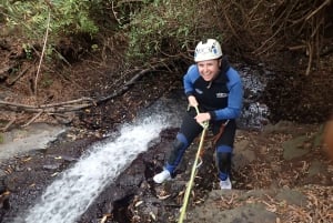 Las Palmas, Gran Canaria: Canyoning Adventure