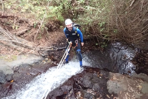 Las Palmas, Gran Canaria: Canyoning Adventure