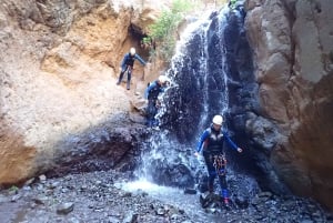 Las Palmas, Gran Canaria: Canyoning Adventure