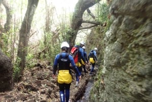 Las Palmas, Gran Canaria: Canyoning Adventure