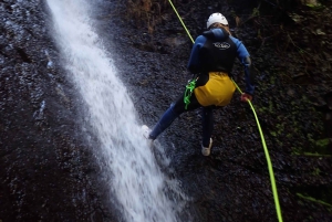 Las Palmas, Gran Canaria: Canyoning Adventure