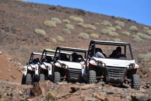 Las Palmas: Excursión guiada en Buggy por Gran Canaria