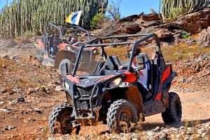 Las Palmas: Excursión guiada en Buggy por Gran Canaria