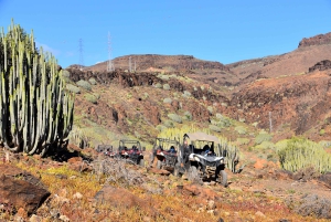 Las Palmas: Excursión guiada en Buggy por Gran Canaria