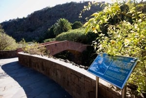 Las Palmas: Old Town and Surrounding Area Tour