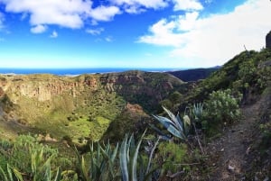 Las Palmas: Old Town and Surrounding Area Tour