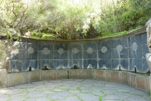 Las Palmas: Privat Botanic Garden Tour & opt. hike Extension