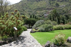 Las Palmas: Privat Botanic Garden Tour & opt. hike Extension