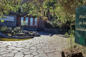 Las Palmas: Privat Botanic Garden Tour & opt. hike Extension