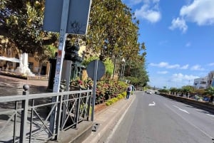 Las Palmas: Privat Botanic Garden Tour & opt. hike Extension