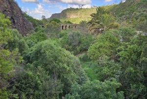 Las Palmas: Privat Botanic Garden Tour & opt. hike Extension