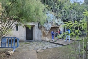 Las Palmas: Privat Botanic Garden Tour & opt. hike Extension