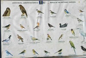 Las Palmas: Privat Botanic Garden Tour & opt. hike Extension
