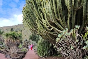 Las Palmas: Privat Botanic Garden Tour & opt. hike Extension