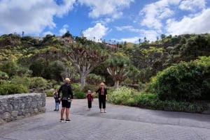 Las Palmas: Privat Botanic Garden Tour & opt. hike Extension