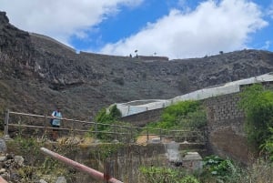 Las Palmas: Privat Botanic Garden Tour & opt. hike Extension