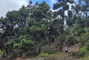 Las Palmas: Privat Botanic Garden Tour & opt. hike Extension