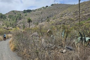 Las Palmas: Privat Botanic Garden Tour & opt. hike Extension